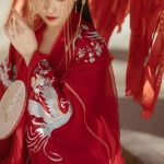 朋友，一起来看美丽的汉服吗