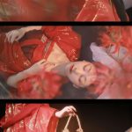 【仙气汉服】花开无叶，叶生无花