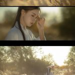 【汉服小仙女】一杆铁画银钩，落处却温柔