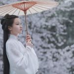 很多人想了解汉服 但不知道从何处入手
